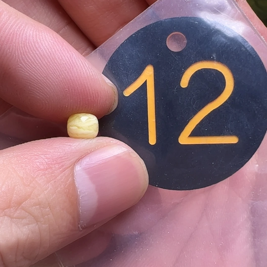 蜜蜡未镶嵌珠宝奇石敬****童6mm