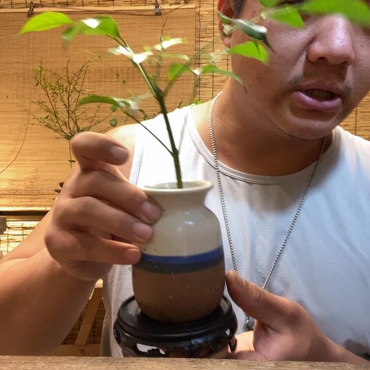 一物一拍所见即所得257
