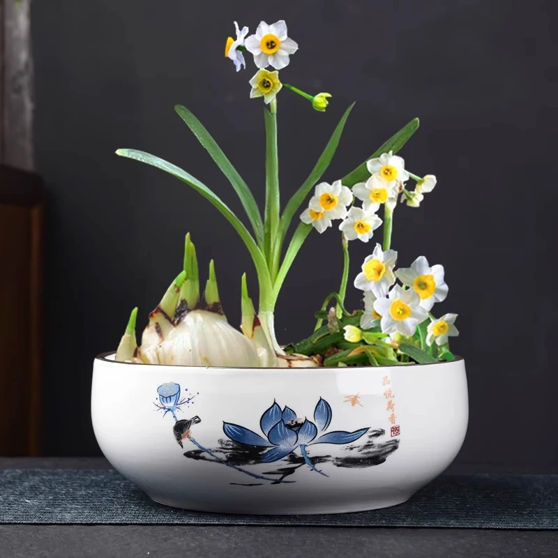 水培花盆陶瓷铜钱草睡莲水莲花盆处理清仓无孔水仙网红专用盆圆形