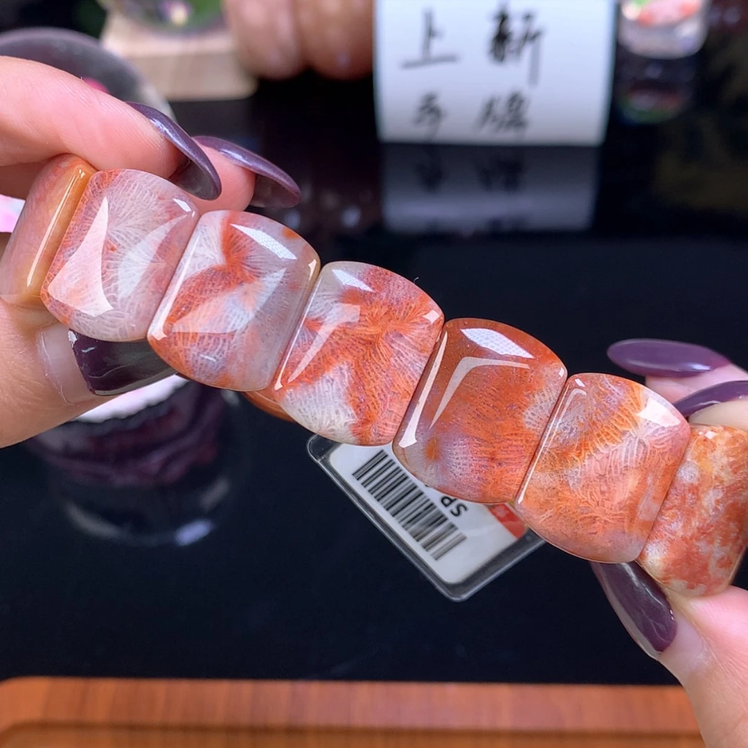 【闪购商品】颈饰未镶嵌硅化珊瑚（珊瑚玉）福利手牌400漏300（29号）
