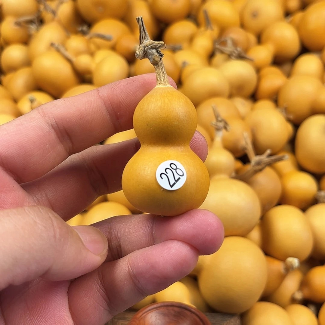 三葫芦葫芦葫芦葫芦228