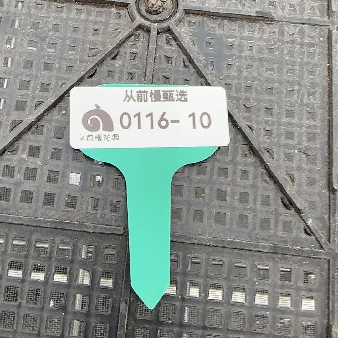 从前慢花园精选0116-10