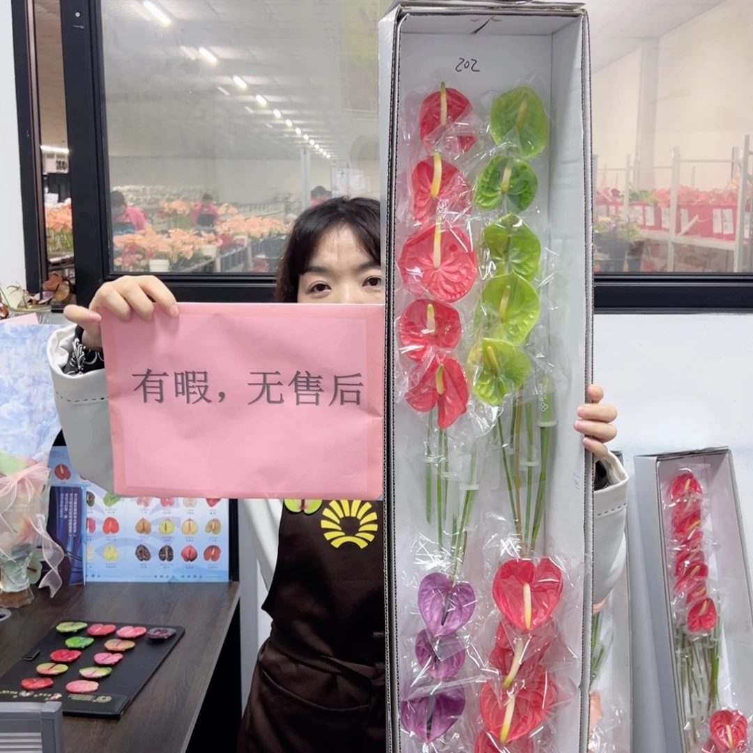 完全开放混色-20枝装无售后款202
