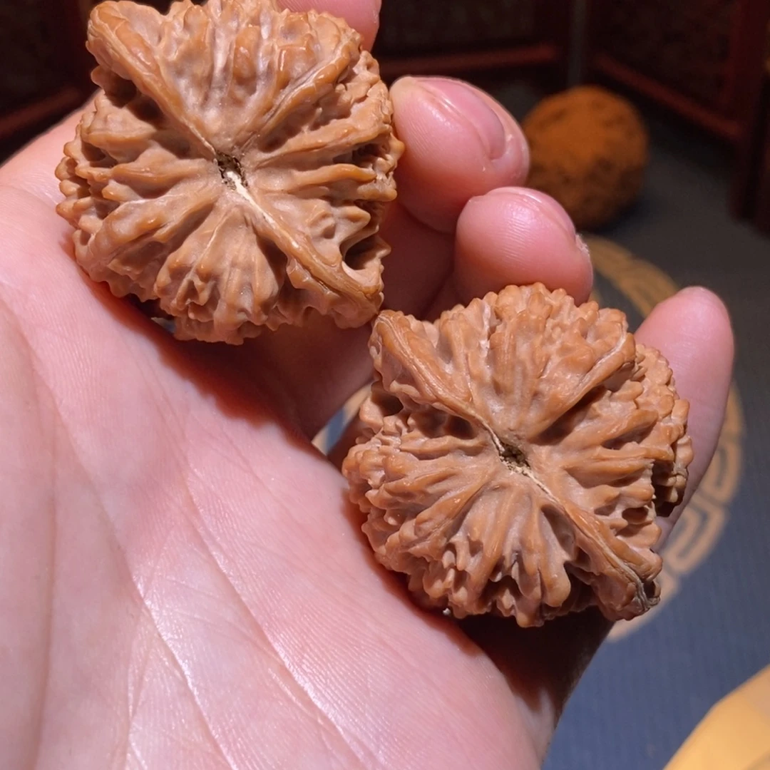 42尺 全品白茬 满天星