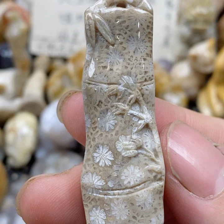 颈饰未镶嵌硅化珊瑚（珊瑚玉）