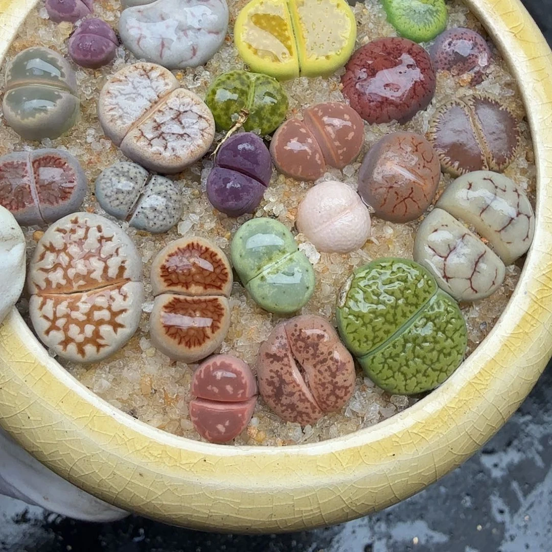 不是很冷哦还是在上班了368这个