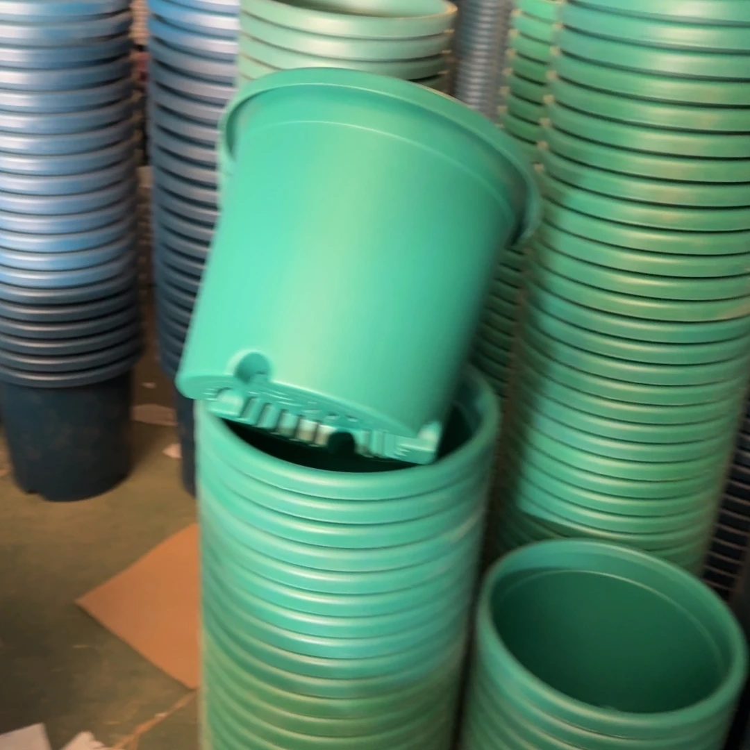 特价4#无拖祖母绿8个