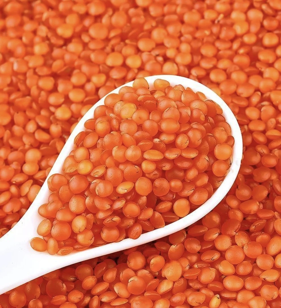 红扁豆 杂粮  营养