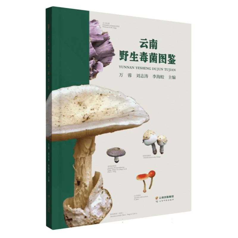 云南野生毒菌图鉴 书籍 正版图书推荐 云南科技出版社