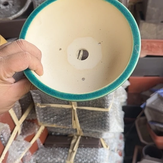 你不说实话的了你知道吧是