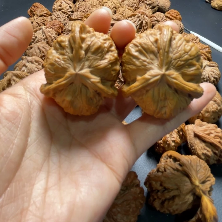 南瓜墩三棱43尺寸核桃哈哈哈哈哈哈哈