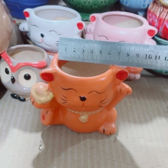 红陶11111111111111111111