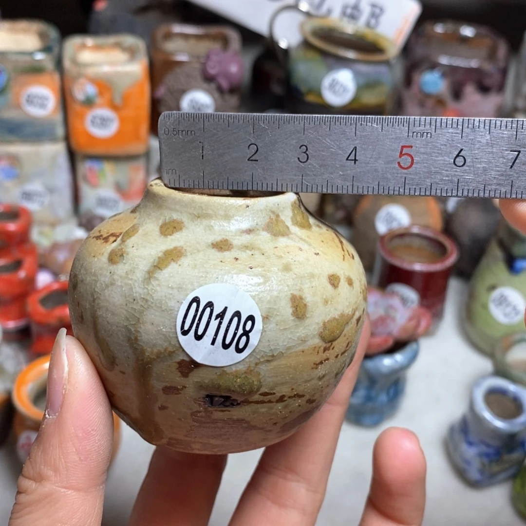 花盆拍5送一个小礼物