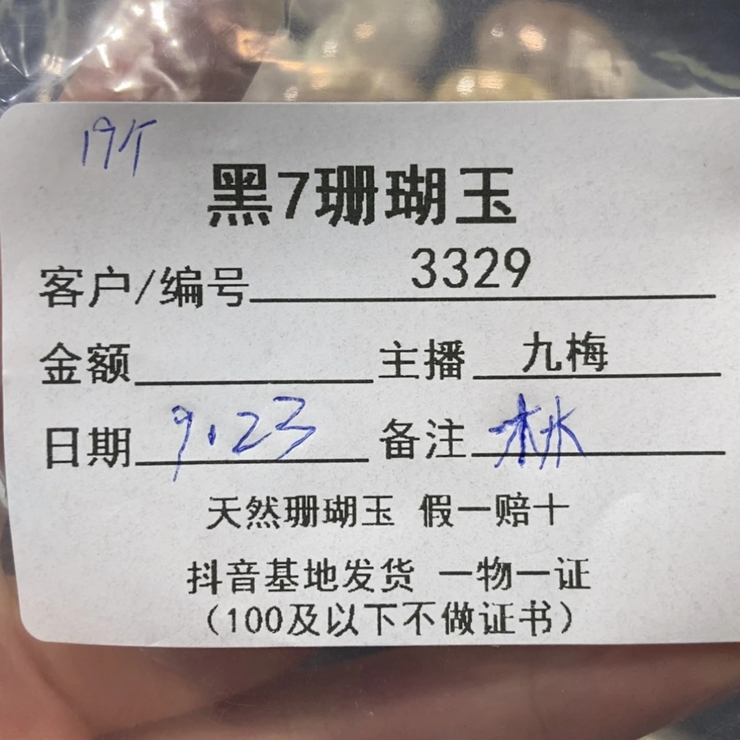 ****木未镶嵌吊坠硅化玉