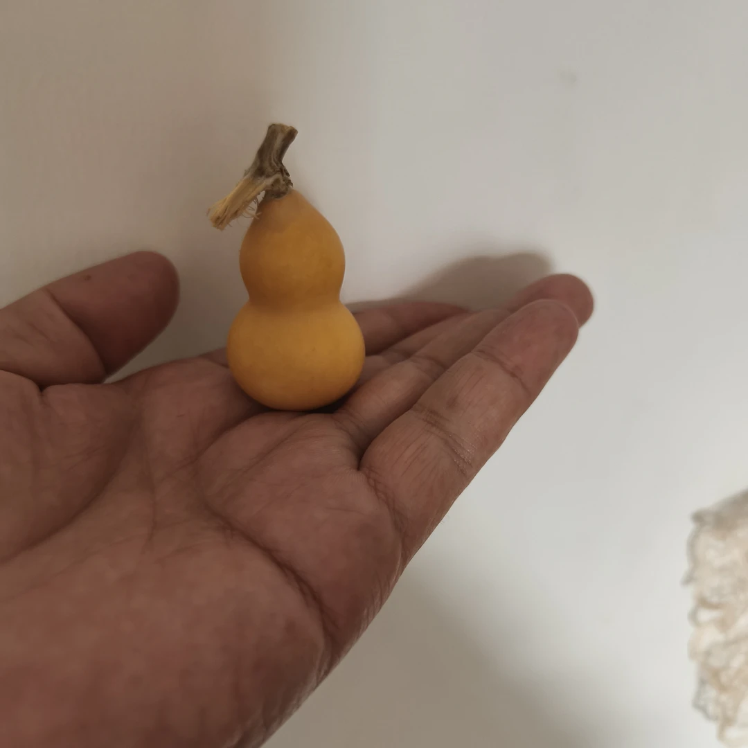 天然带龙头小葫芦手把件可盘玩的文玩葫芦葫芦文玩