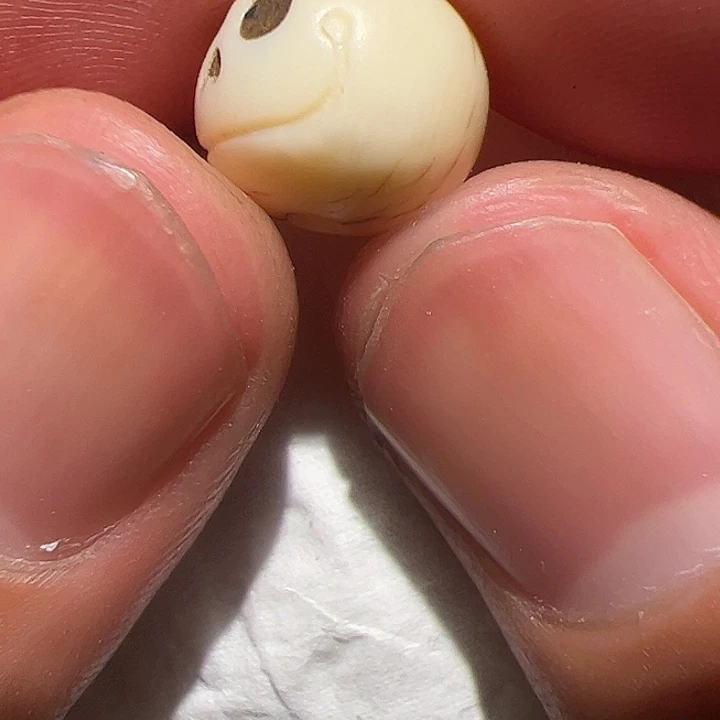 玻璃颈饰在这里的