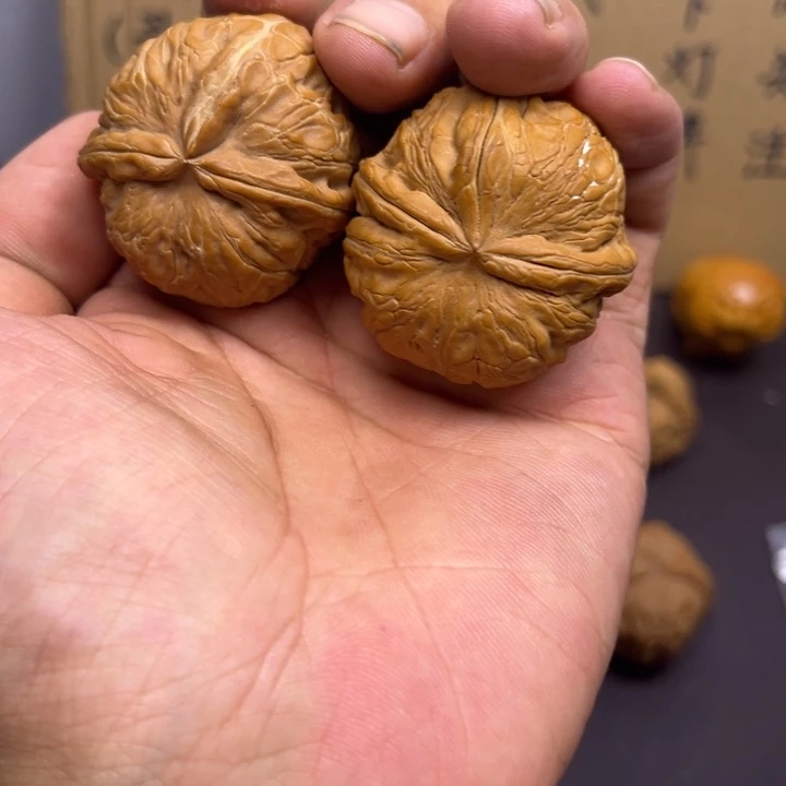 吴***密菩提籽类元宝两只 瑕疵 裂黑