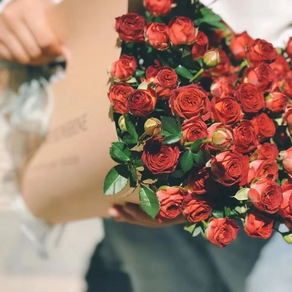 【富民润德】巧克力泡泡 10枝【同一地址两单顺丰冷链包邮】