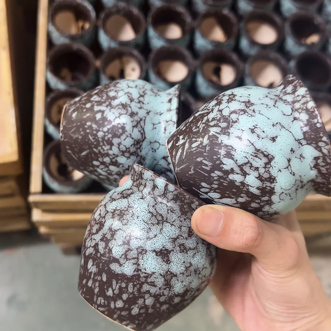 3个福利局绿植多肉盆［凑9元包邮24小时发］