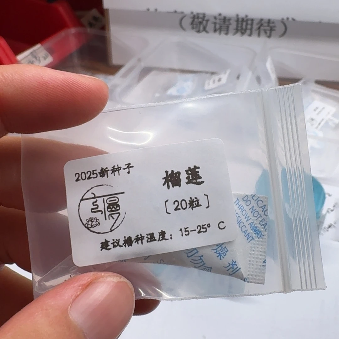 云慢2025新种子糖珍系榴莲20粒
