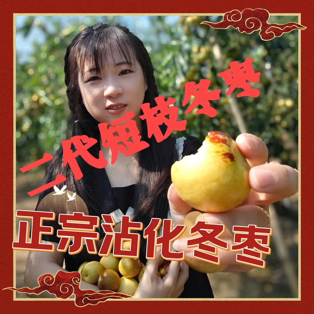 正宗沾化二代短枝头茬冰糖冬枣现摘现发新鲜脆甜多汁应季水果顺丰