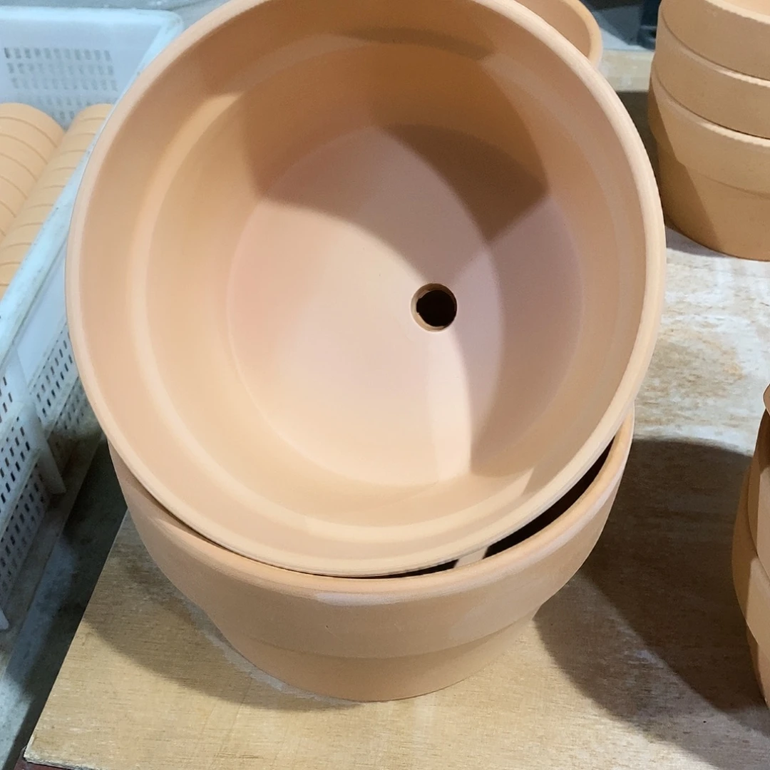 红陶20×11-2