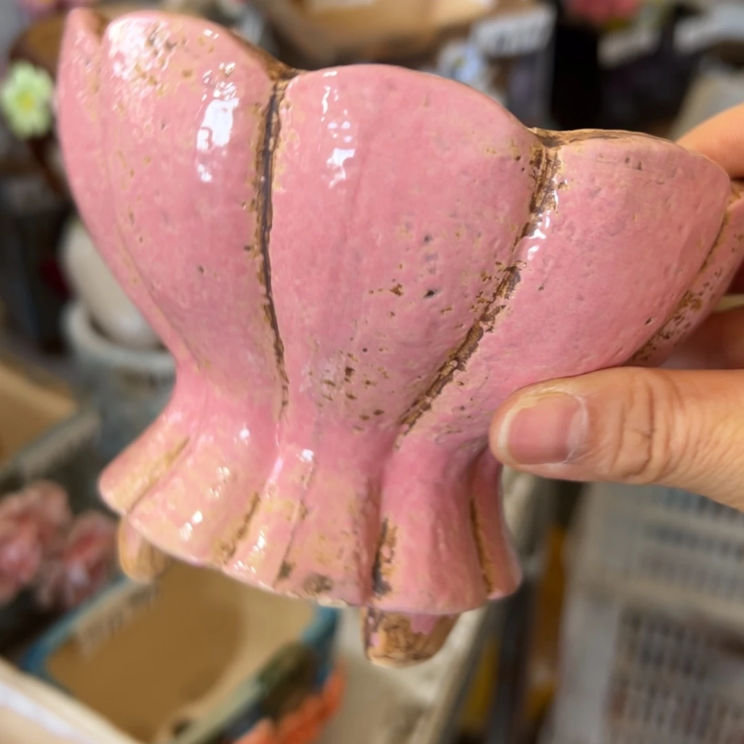 多肉花盆，满20发货爱退拉黑