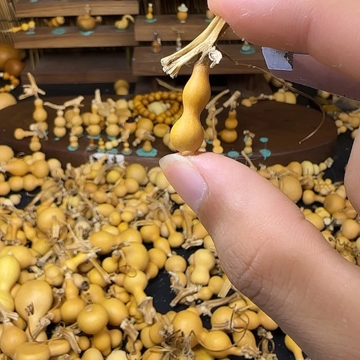 志***型哈哈广告广告vv不完