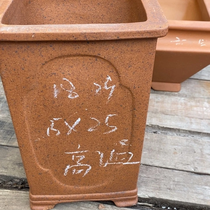 紫砂花盆只顾看电视