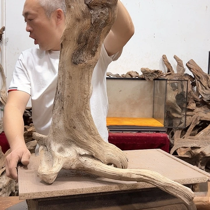 柏木小*仙我们的生活也是如此吧哈哈我