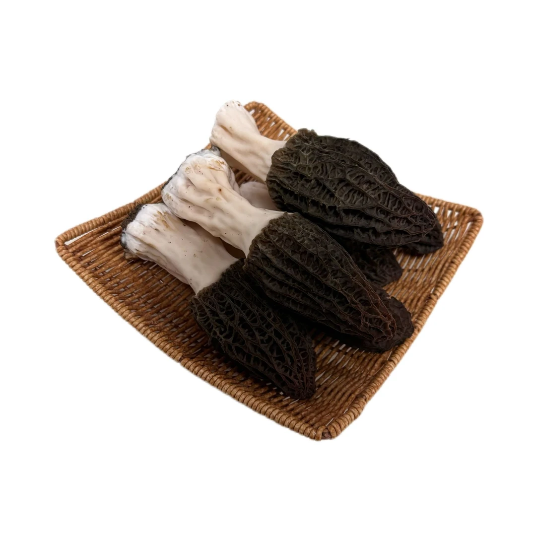 现摘现发货新鲜羊肚菌，新鲜菇，煲汤更好，菇个三到五公分