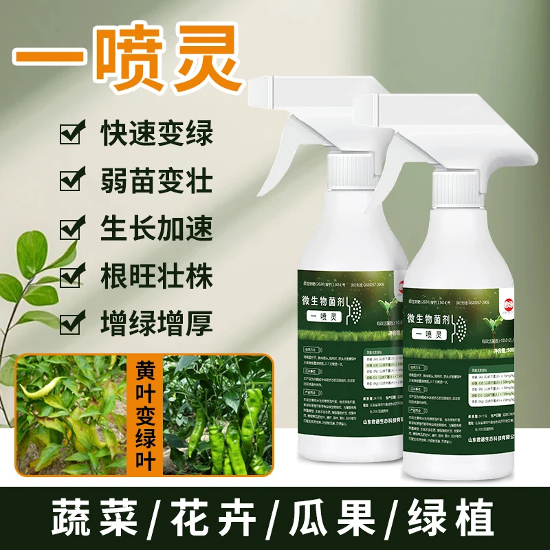 一喷灵微生物菌剂绿植生根壮苗