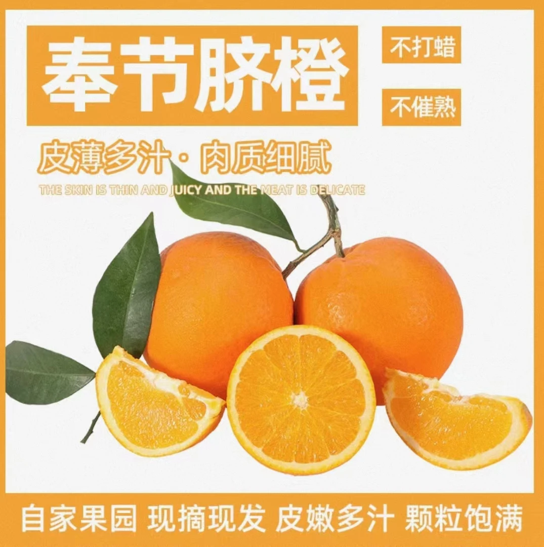 奉节脐橙产地现摘现发-纽荷尔-长虹圆虹-72-1适宜孕妇小孩补充维C