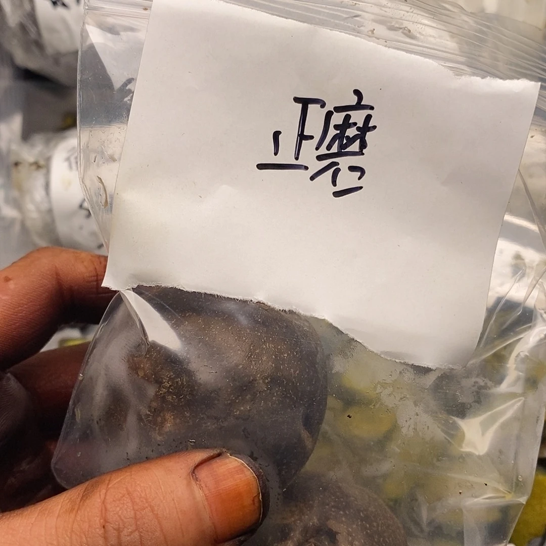 熊***感觉你奶奶家奶奶男男女女