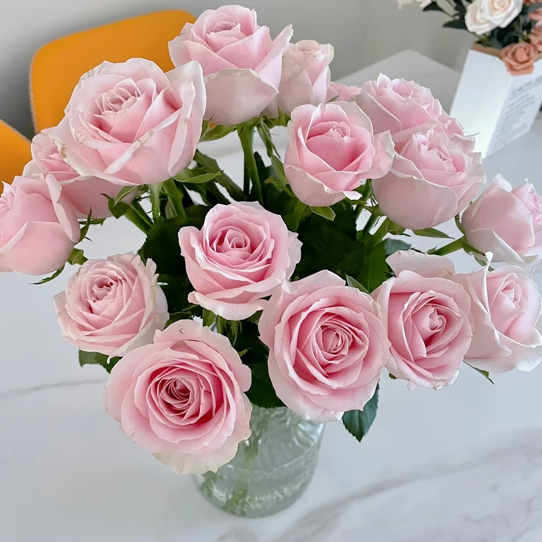 【直播专属】粉雪山玫瑰气场蔓塔珍珠李风铃花 常州新北区汉江路花店 同城派送