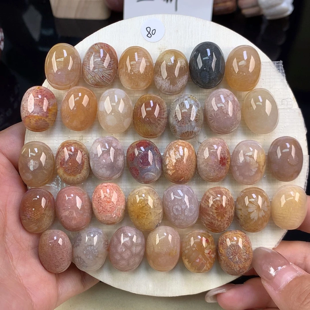 【闪购商品】颈饰未镶嵌硅化珊瑚（珊瑚玉）上新龟背80一个87号