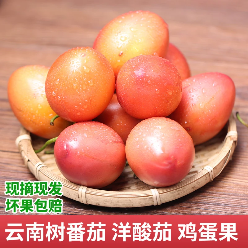 云南洋酸茄大树番茄鸡蛋果农产品时令傣味新鲜蔬菜腾冲生态自种