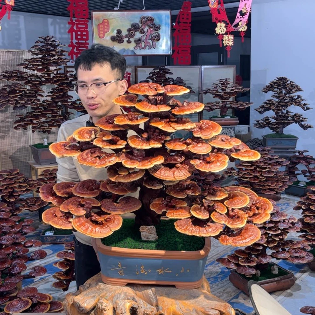 【闪购商品】88888