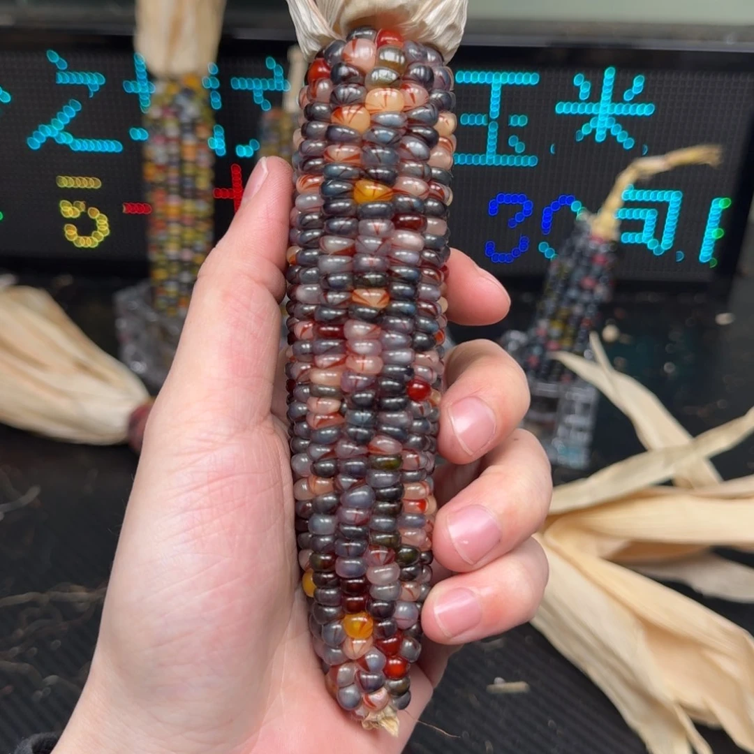 柏香籽/百香籽吊坠?*合