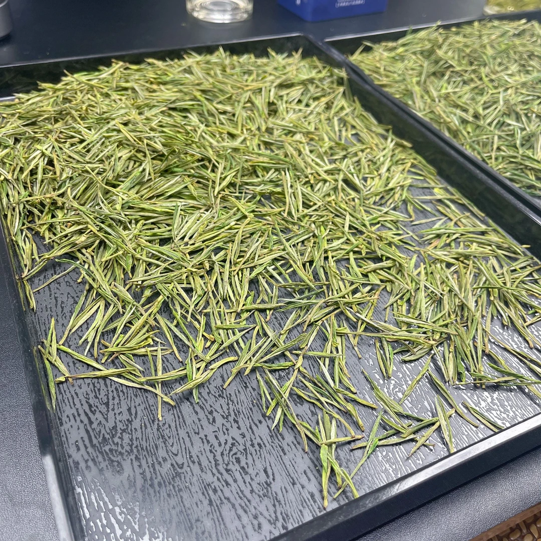 再逢春安吉县溪龙乡黄杜村里黄杜产区自产自销浓香鲜甜安吉白茶