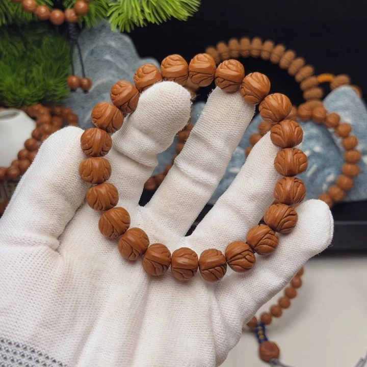 野生籽小尺寸玉龙脊12