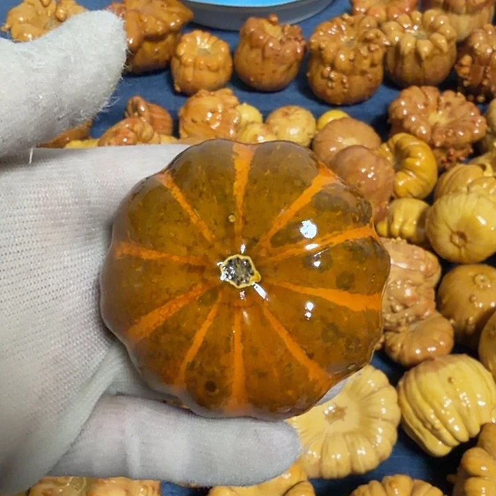 风***幻墨西哥七彩疙瘩葫芦