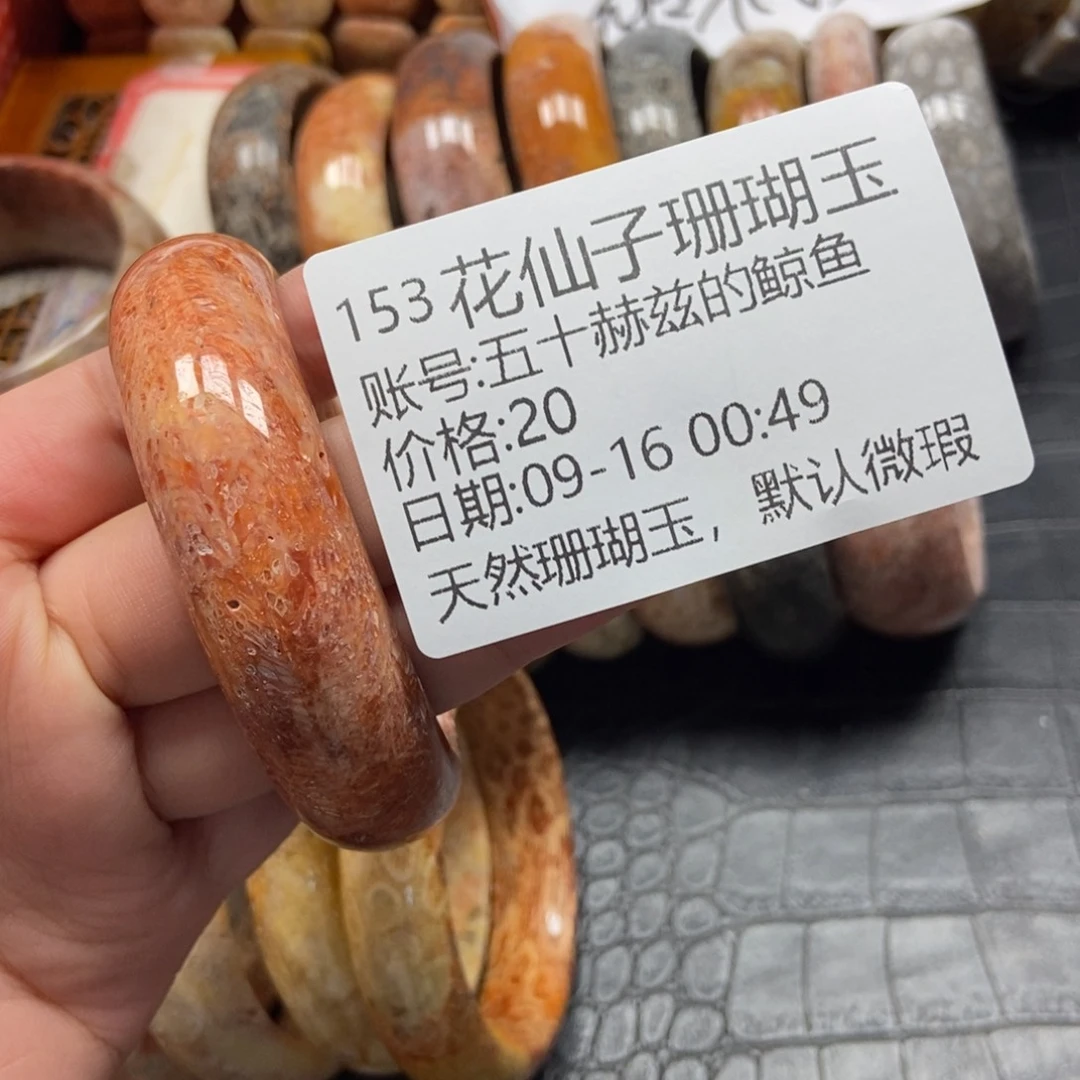 五***鱼未镶嵌硅化珊瑚（珊瑚玉）珠宝半成品153