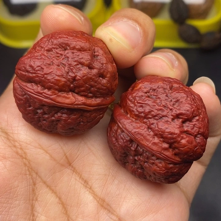 吊坠文玩核桃33尺肌肉蛙