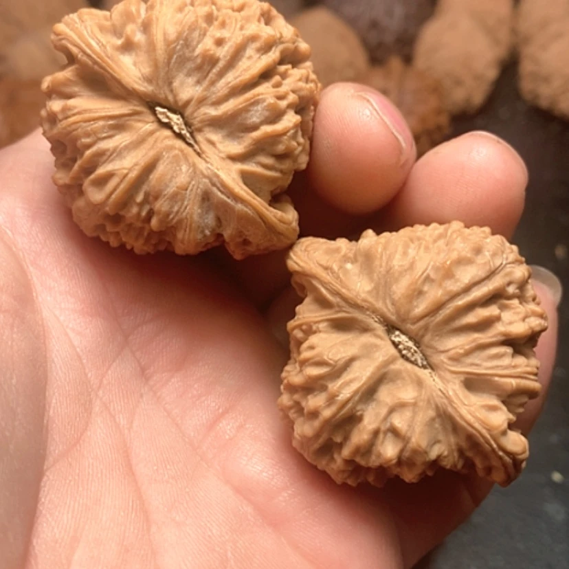 【闪购商品】茶*南疆石