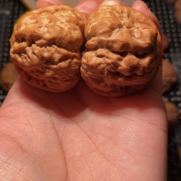 秋***歌文玩核桃把件四深开背八蹬腿