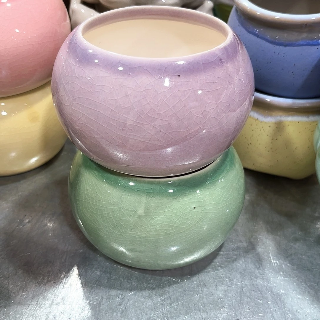 花盆花盆花盆花盆花盆花盆