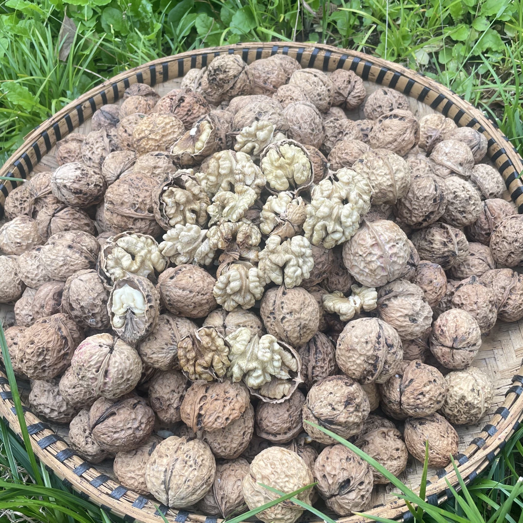 云南老品种优质干核桃口感醇香营养丰富