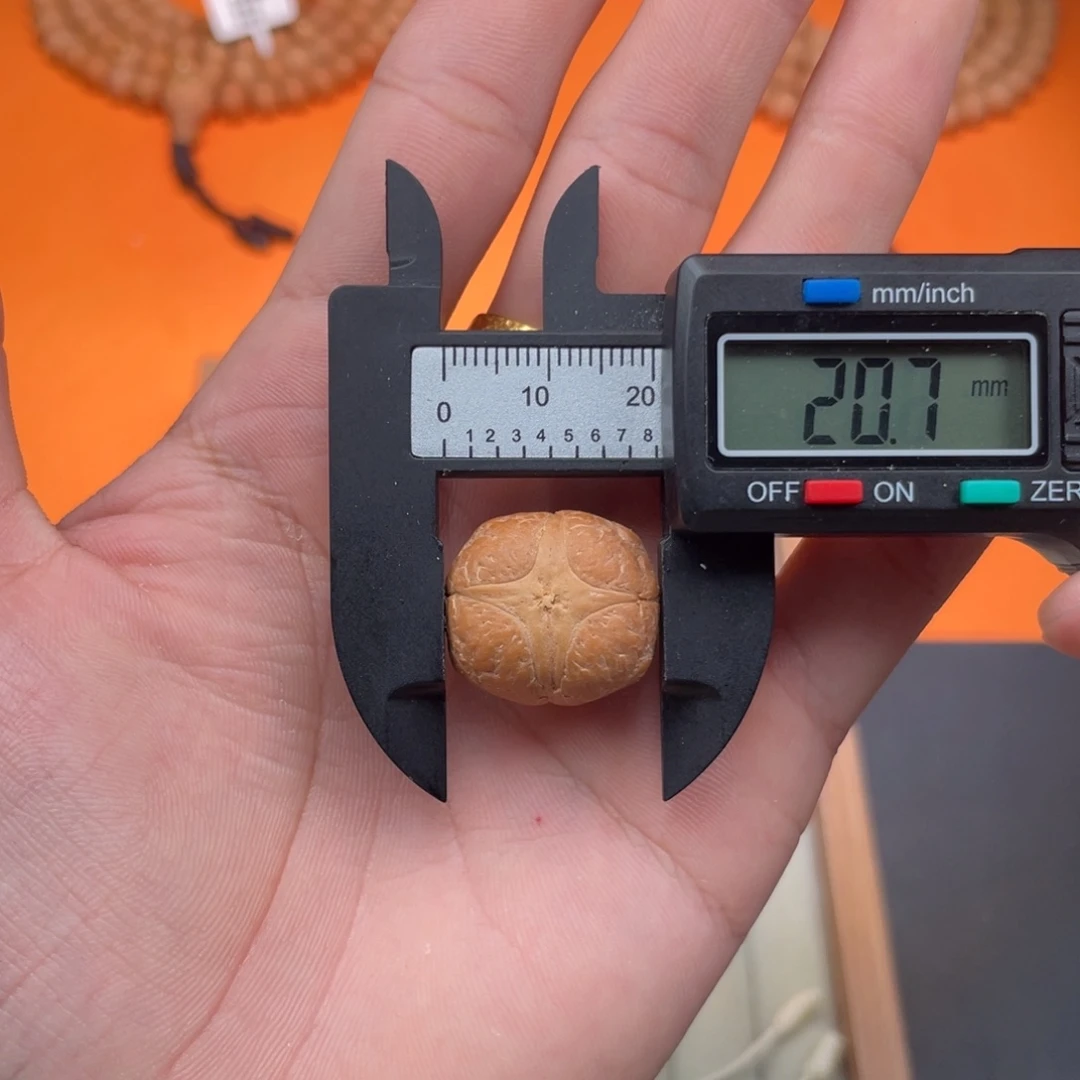 吊坠凤眼菩提09四星麒麟大板星超正尺寸20.7厚15.3