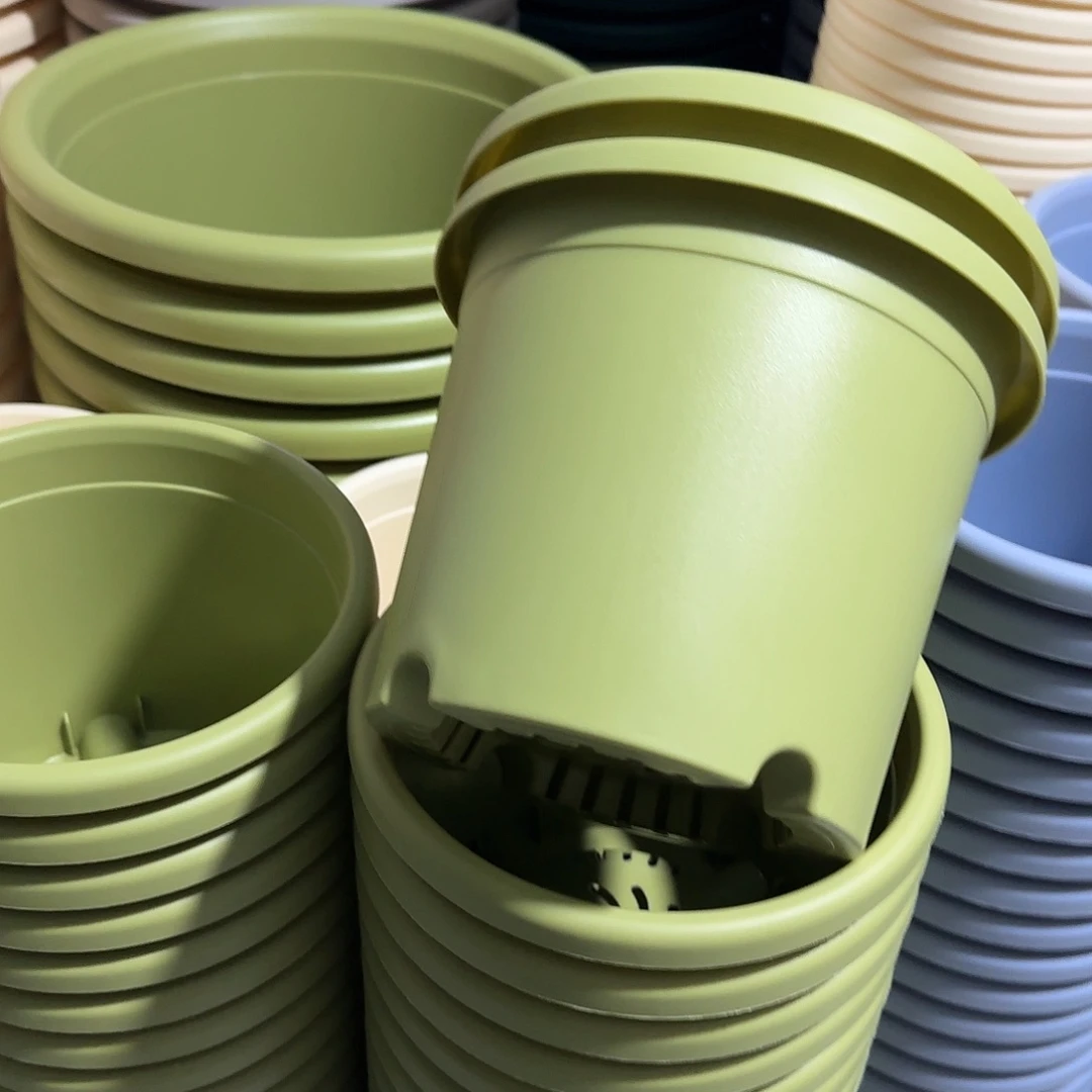 微瑕3号无托10个，果绿